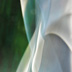 Pole Blur #2