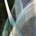 Pole Blur #4