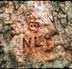 Engraved Initials - Part II