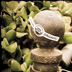 Organic Iron