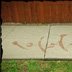 Mystery Tag