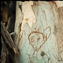 Love Birds - Part I