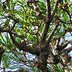 Reaching Up