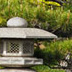 Garden Forest