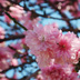 Spring Time